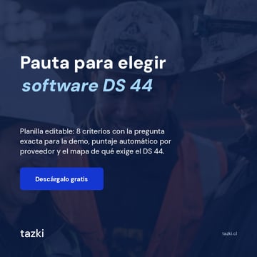 Pauta para elegir software de prevención DS 44 en Excel