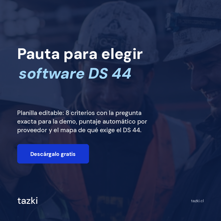 Pauta para elegir software de prevención DS 44 en Excel