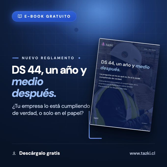 E-book gratis: DS 44, un año y medio después